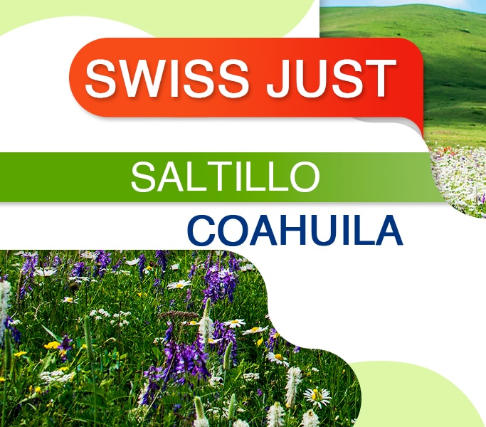 Swiss Just Saltillo