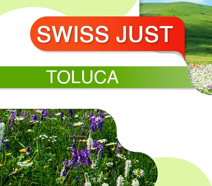 Swiss Just Toluca